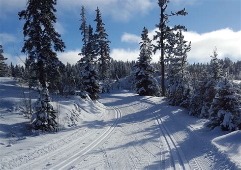 overlander ski club|Facilities and Trails .